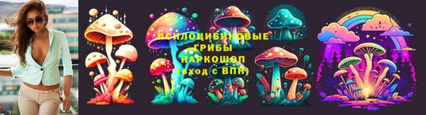 ГАЛЛЮЦИНОГЕННЫЕ ГРИБЫ Каменка
