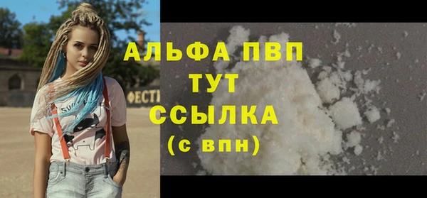 ГАЛЛЮЦИНОГЕННЫЕ ГРИБЫ Каменка