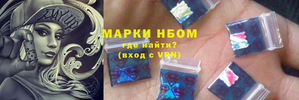 ГАЛЛЮЦИНОГЕННЫЕ ГРИБЫ Каменка