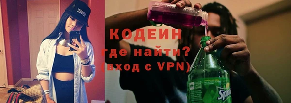 ГАЛЛЮЦИНОГЕННЫЕ ГРИБЫ Каменка