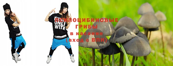 эйфоретик Каменногорск