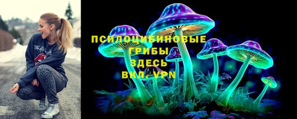ГАЛЛЮЦИНОГЕННЫЕ ГРИБЫ Каменка